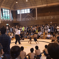 「わんぱく相撲越谷場所」の運営に参加