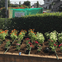 セレモニー越谷東口ホールの清掃活動