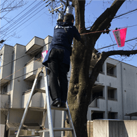 3月18日(土)「2017年 西南さくら祭り」に参加しました。